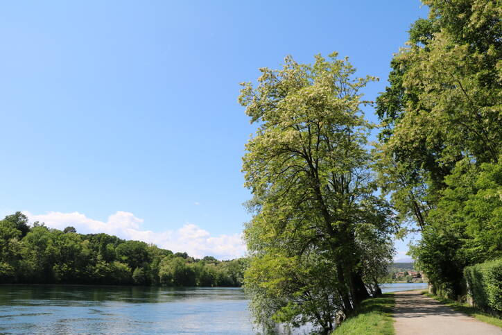 Kesslerplatz Limmatufer